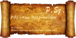 Pántya Szilveszter névjegykártya