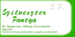 szilveszter pantya business card